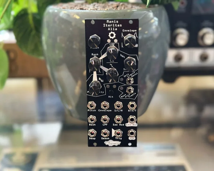 Noise Engineering Manis Iteritas Alia – Black