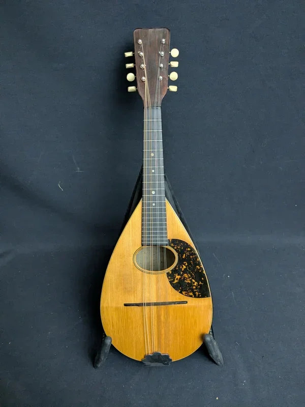Oliver Ditson Bowl-back Mandolin (used)