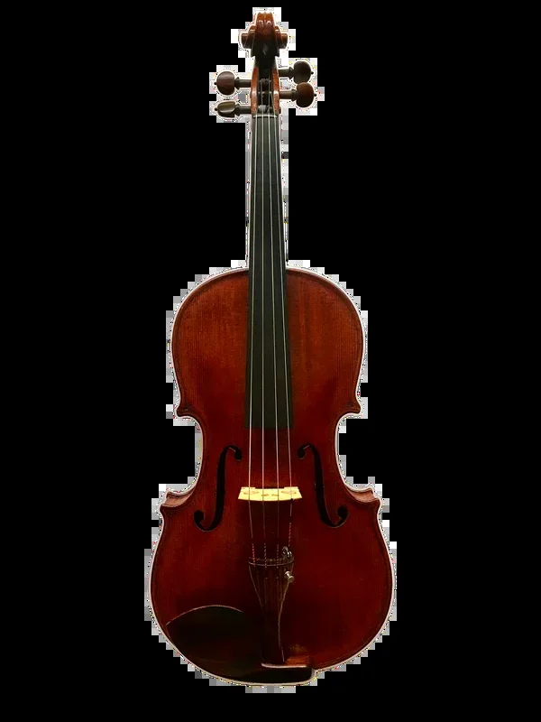 Orofino 15″ Viola