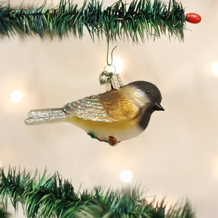 OWC-Black-Capped Chickadee