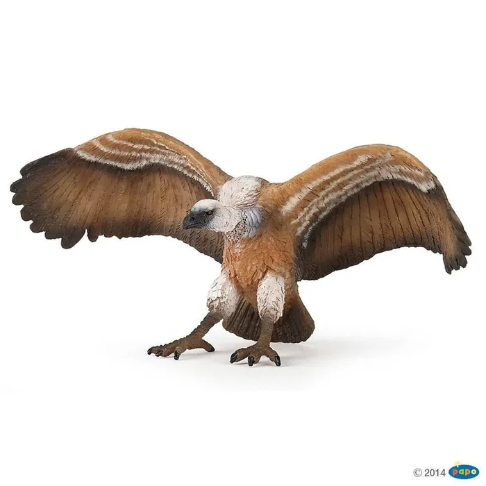 papo vulture