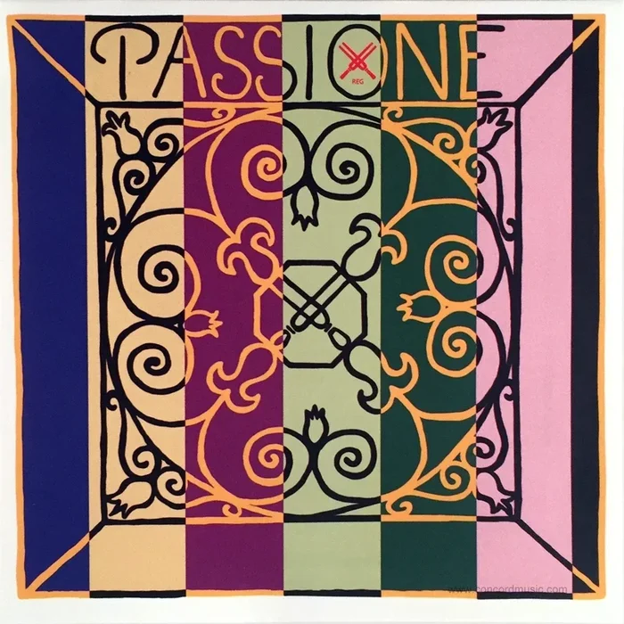 Passione Solo Violin A String