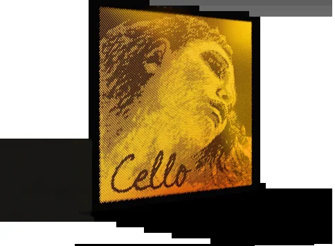 Pirastro Evah Pirazzi Gold Cello String D