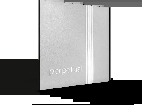 Pirastro Perpetual Violin String Set