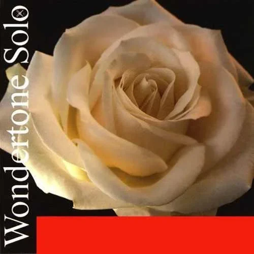 Pirastro Wondertone Solo Violin A String
