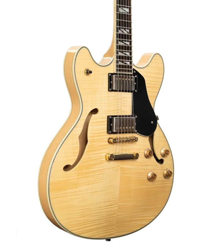 Pre-Owned Washburn HB-35NK Semi-Hollow Electric Guitar | Used