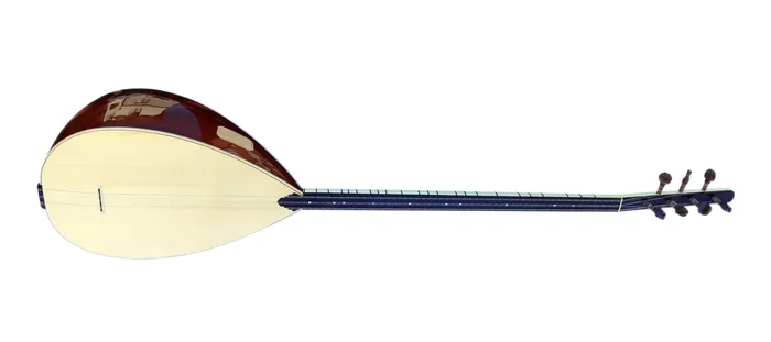Professional Long Neck Electric Acoustic Baglama Saz ALB-305