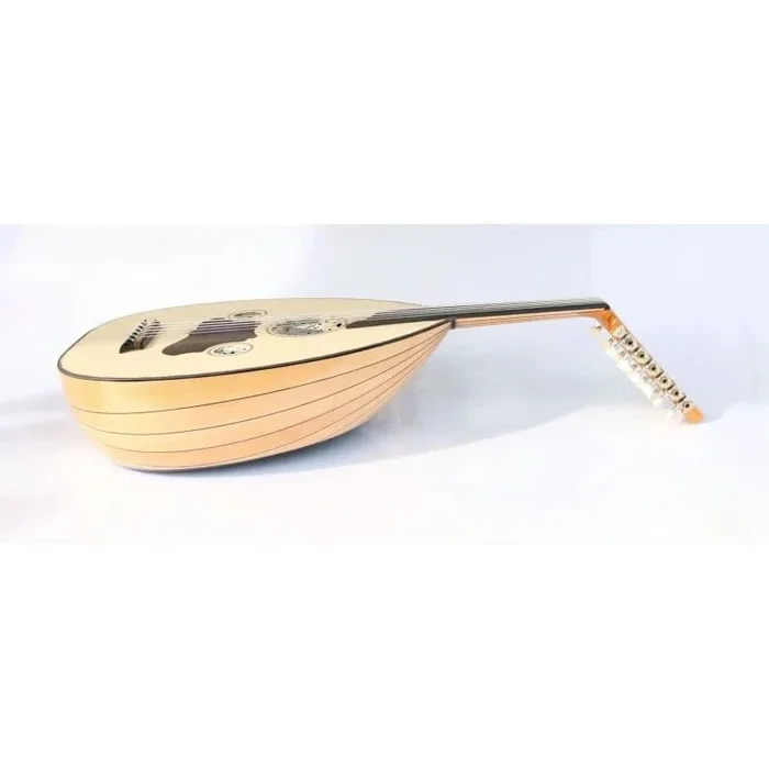 Professional Turkish Electric Oud AOK-206G