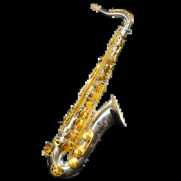 R1 Jazz Tenor Saxophone – Silver & Gold – 2008/J/AUG