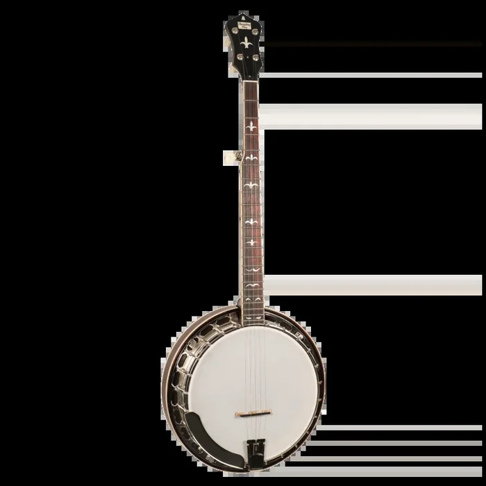 Recording King Madison RK-R35-BR 5-String Resonator Banjo
