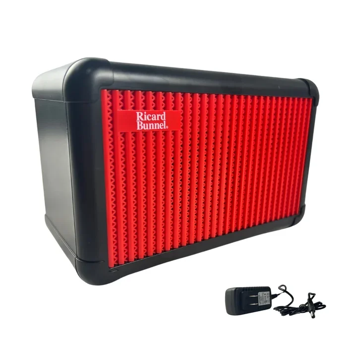 Ricard Bunnel Professional Violin Amplifier Upgrade