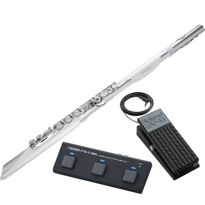 Roland Aerophone Brisa Digital Wind Instrument CONTROL KIT