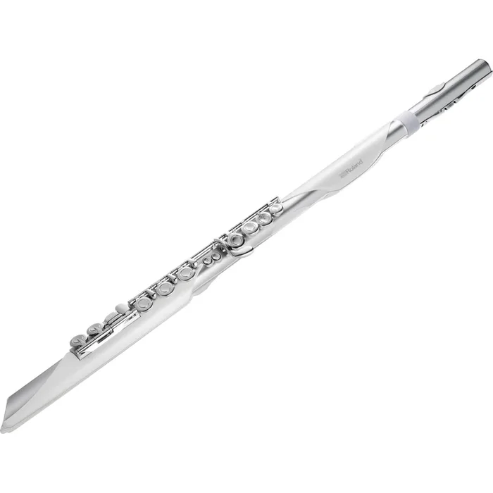 Roland Aerophone Brisa Digital Wind Instrument