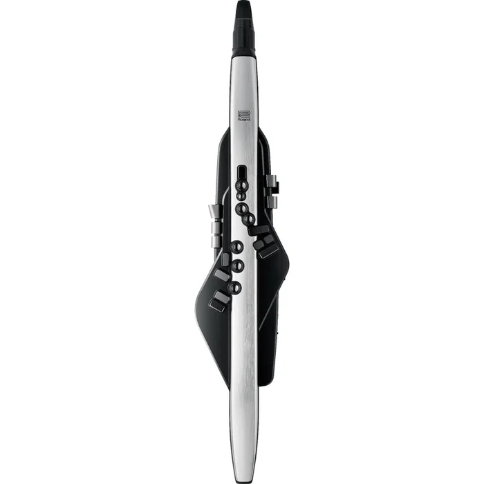 Roland Aerophone Pro AE-30 Digital Wind Instrument