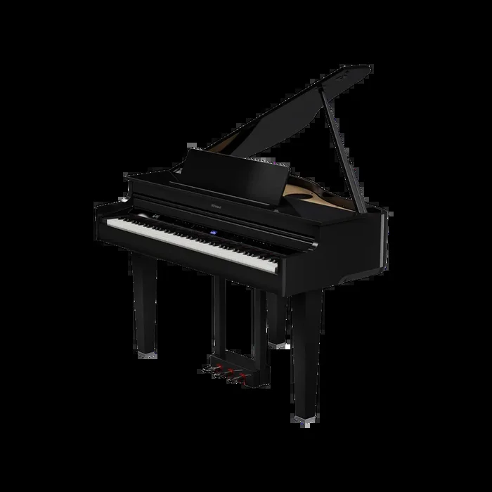 Roland GP-6