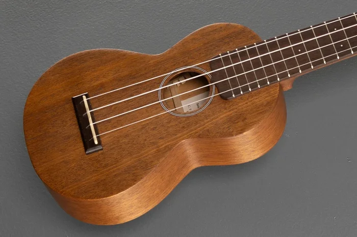 S1 Uke