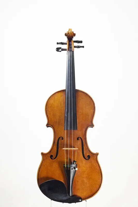 Salvatore Callegari Violin