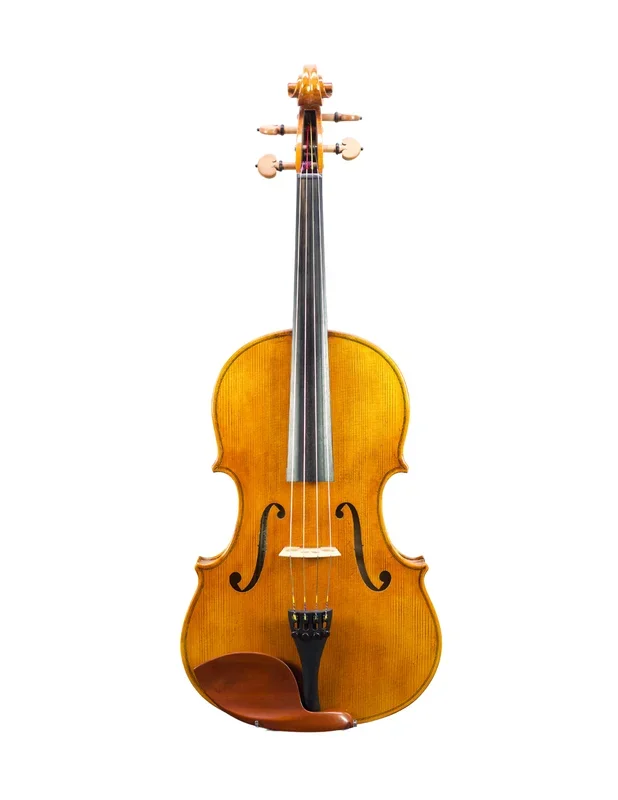 SANDRO LUCIANO – 15″ VIOLA