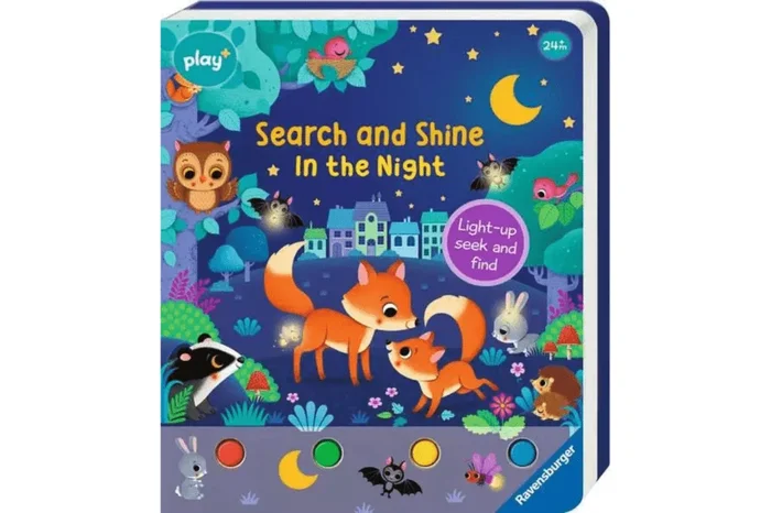 Search and Shine: In the Night Book