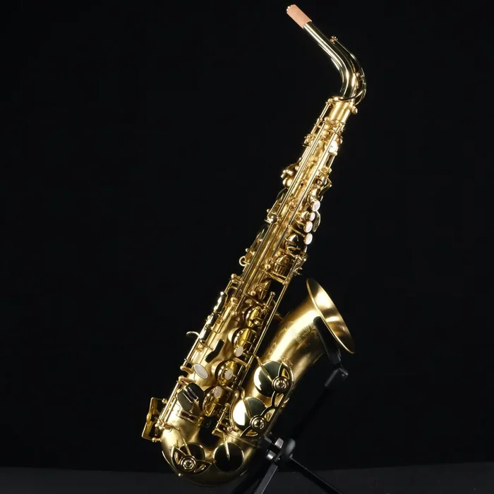 Selmer SAS711M Professional Alto Saxophone (Matte Finish)