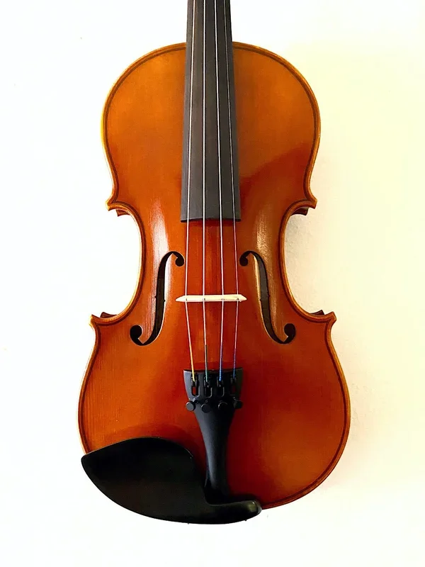 Serafina DX 1/2 violin with free case, bow, rosin & polish cloth