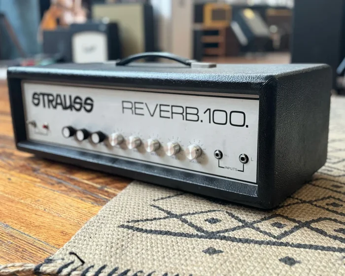 Strauss Reverb 100 Head