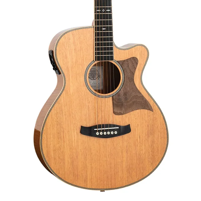 Tanglewood Reunion Pro SF C/E Flamed Mahogany Solid Spruce Top