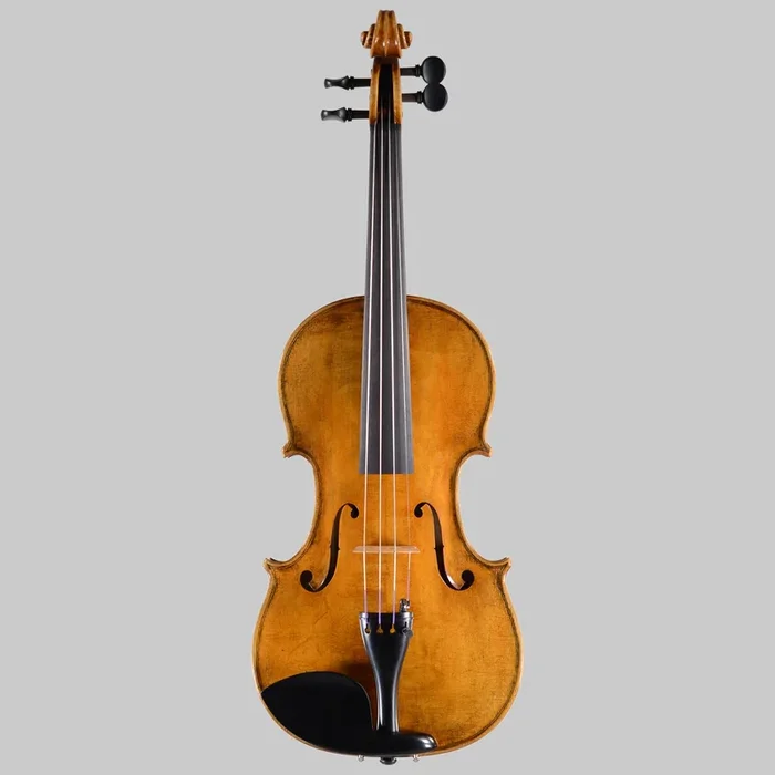 Taras Andrash, Ukraine 2024, Violin (FS524)
