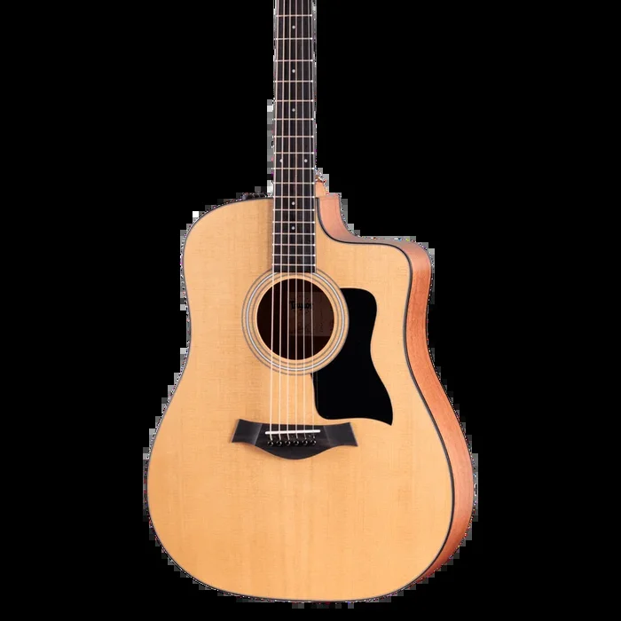 Taylor 110ce w/bag