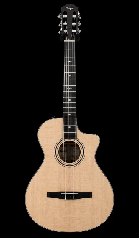 Taylor 312ce-N #25020
