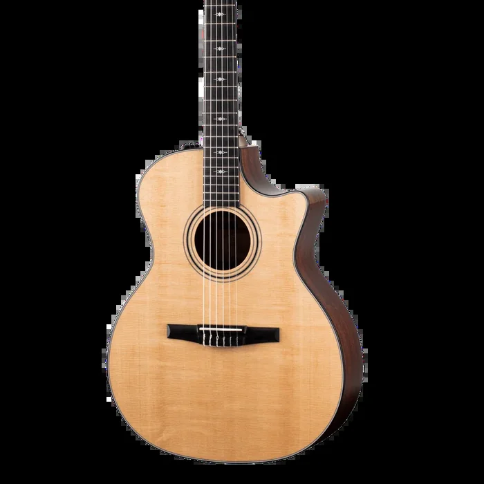Taylor 314ce-N w/case