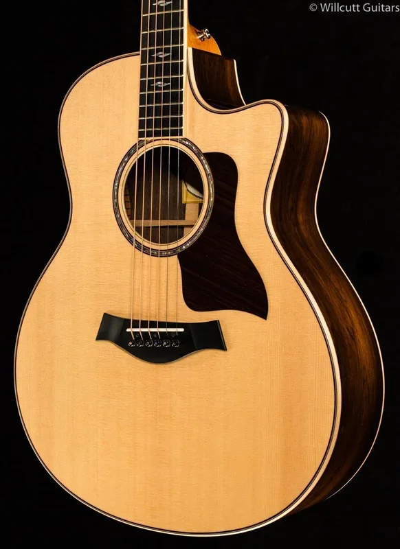 Taylor 816ce Brazilian Rosewood (122)