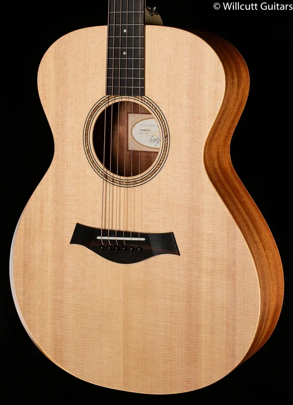 Taylor Academy 12 Acoustic