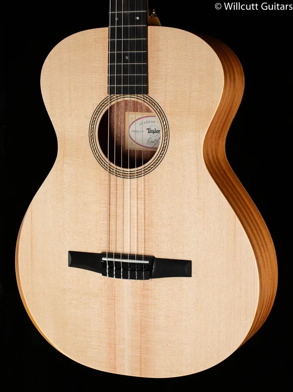 Taylor Academy 12-N (236)