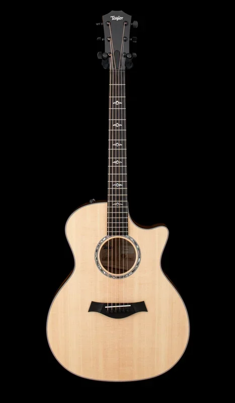 Taylor Custom Shop Select 414ce Big Leaf Maple/Sitka Spruce, Tort Binding #73049