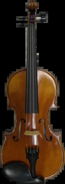 Thankful Strings Violin Outfit