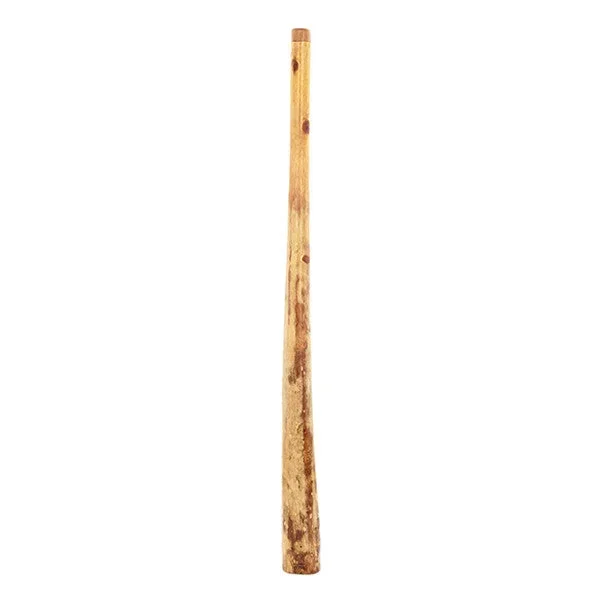 Thomann Eucalyptus Didgeridoo – Natural Yellow Box