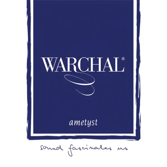 Warchal Ametyst Violin E String
