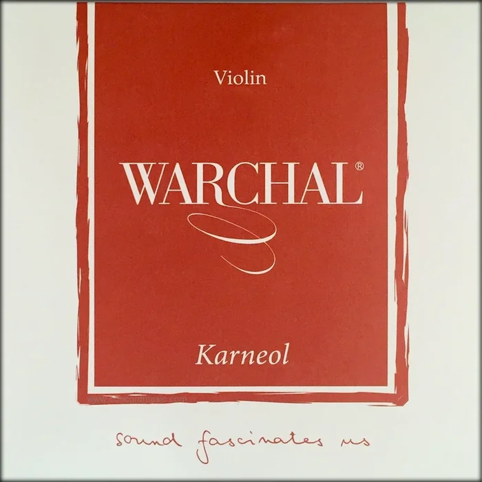 Warchal Karneol violin Set, synthetic core