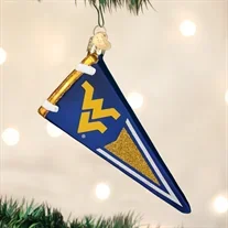 West Virginia University Glass Pennant