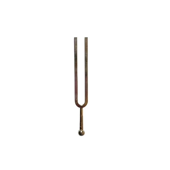 Wittner Tuning fork, A440; Rectangular, 4x5mm