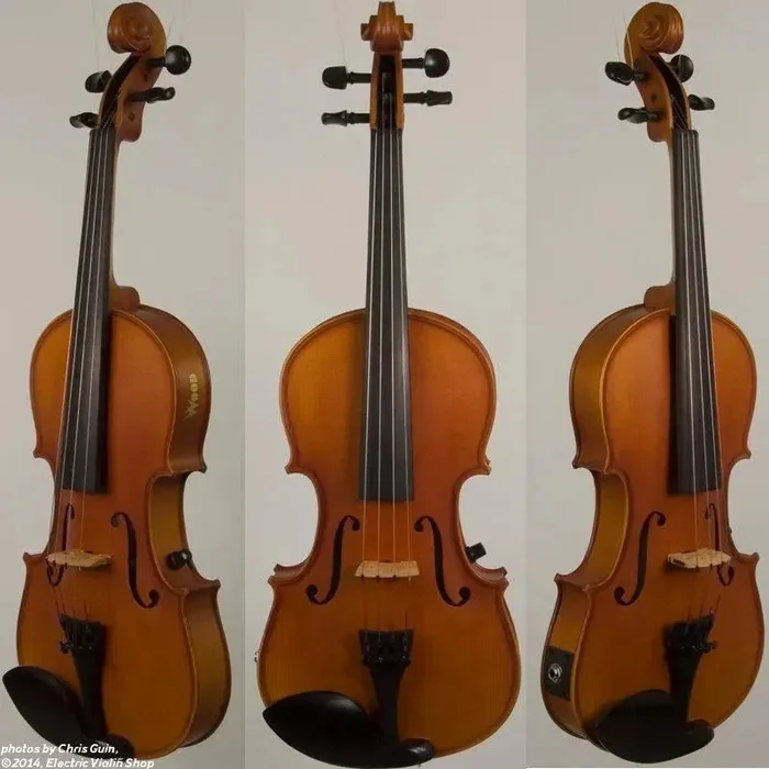 Wood Violins Concert Standard violon acoustique-électrique