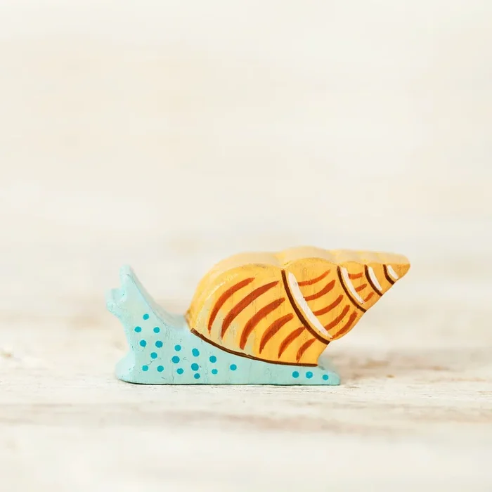 Wooden Caterpillar sea snail