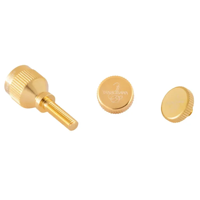 Yanagisawa Boostar Neck Screw for Yamaha Instruments – Gold Plated