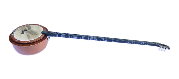 Yayli Tanbur turc professionnel RYT-304
