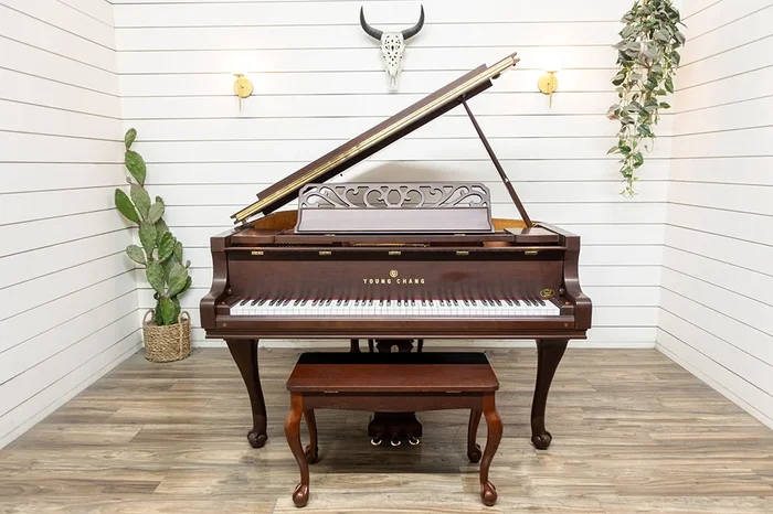Young Chang Pramberger PG-157 Baby Grand Piano