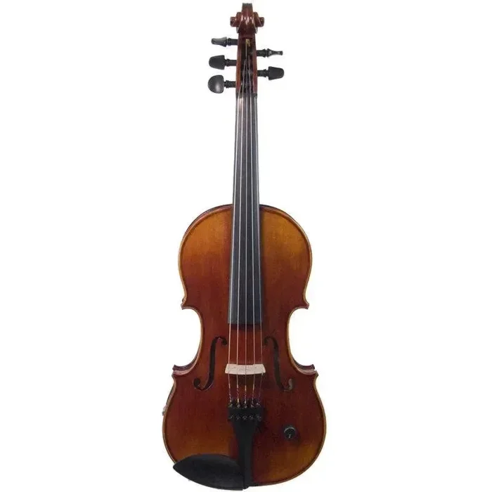 ZETA EV05 Acoustic Pro 5-string acoustic-electric violin